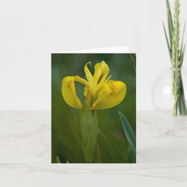 Gelbe Iris-Anmerkungs-Karte Karte (Vorderseite)