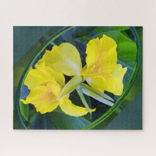 Gelbe Iris-Blume