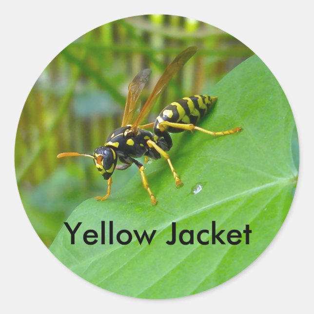 Gelbe Jacket-Aufkleber Runder Aufkleber (Vorderseite)
