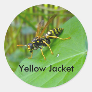 Gelbe Jacket-Aufkleber Runder Aufkleber