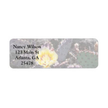 Gelbe Kakteen-Blume im April