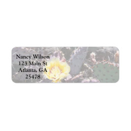 Gelbe Kakteen-Blume im April