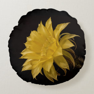 Gelbe Kakteen Blume in Blüte Rundes Kissen