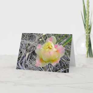 Gelbe Kaktus-Blumen-Anmerkungs-Karte Karte