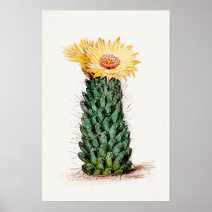 Gelbe Kaktus-Blumen-Skizze-Kunst Poster