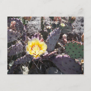Gelbe Kaktusblüte im Frühling Postkarte