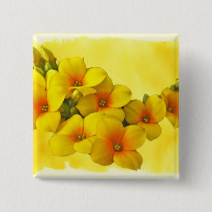 Gelbe Kalanchoe - Sukkulenter Sonnenschein Button
