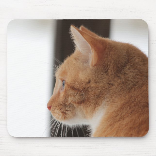 Gelbe Katze Mousepad (Vorne)