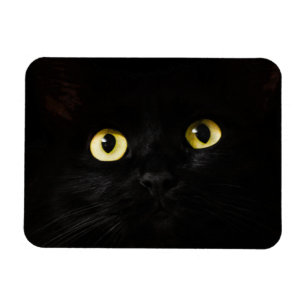 Gelbe Katzenaugen, schwarze Katze, schwarzer Hinte Magnet
