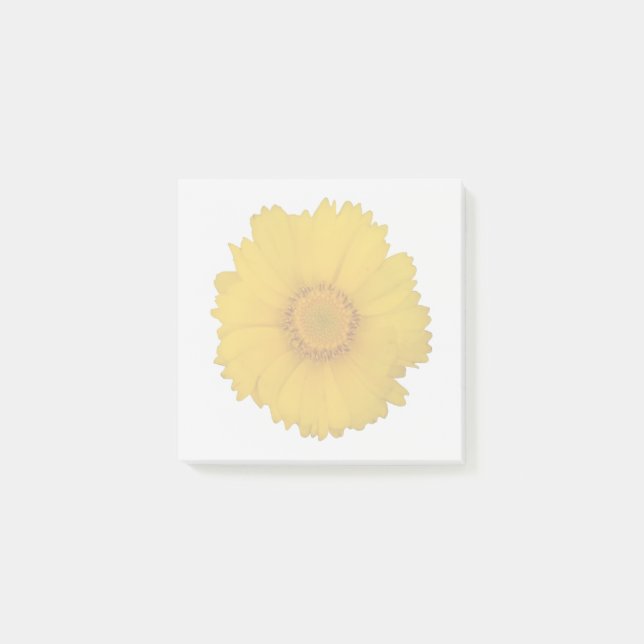 Gelbe Klebezettel mit Gänseblümchen Post-it Klebezettel (Vorderseite)