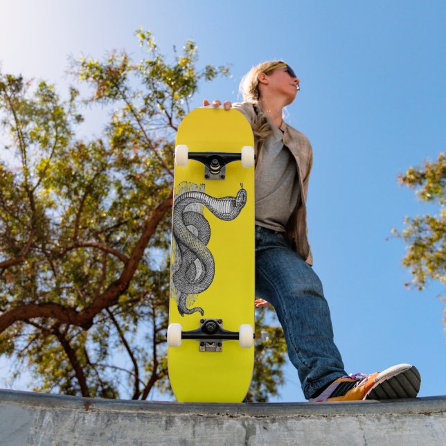 Gelbe Kobra - Skateboard (Außenbereich 1)
