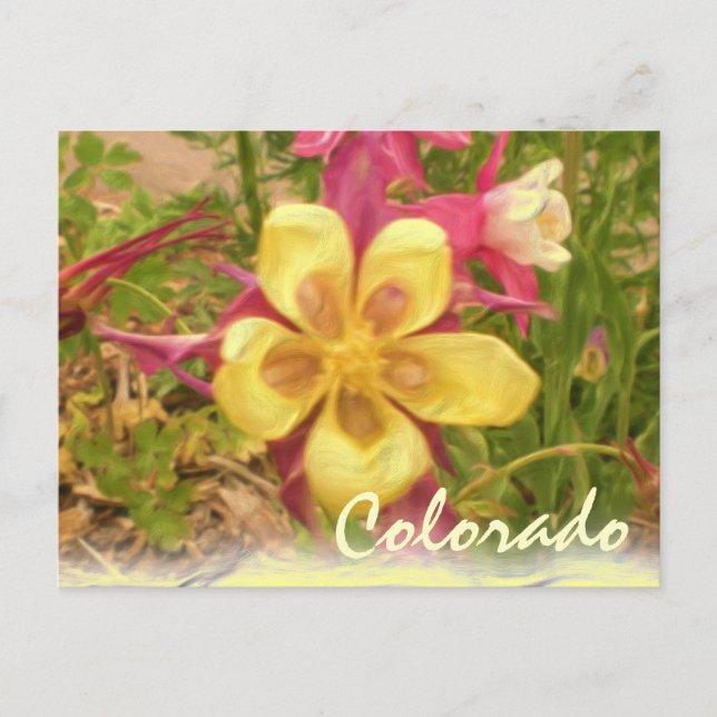 Gelbe Kolumne Blume Postkarte (Vorderseite)