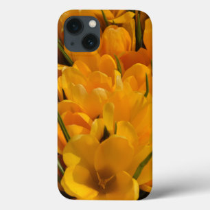Gelbe Kreuze - glückliche Blumenheralden des Frühl Case-Mate iPhone Hülle