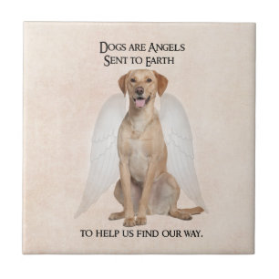 Gelbe Labrador Angel Tile Fliese