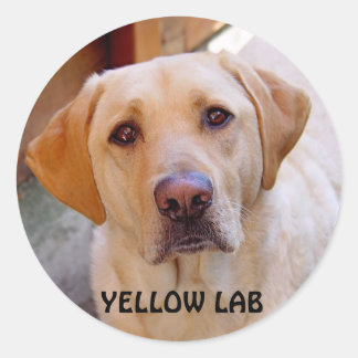 Gelbe Labrador-Aufkleber Runder Aufkleber