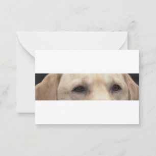 gelbe Labrador Augen Mitteilungskarte