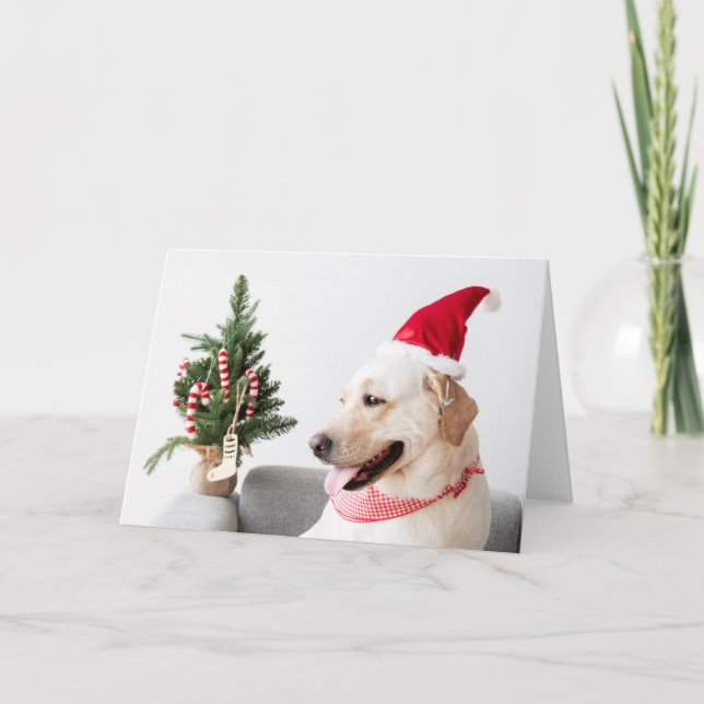 GELBE LABRADOR BEI CHRISTMAS Faltenkarte Karte (Vorderseite)