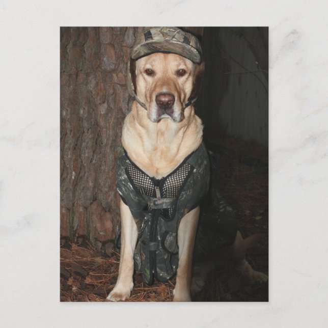 Gelbe Labrador der Jagd Postkarte (Vorderseite)