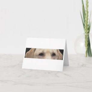 Gelbe Labrador Eyes Karte