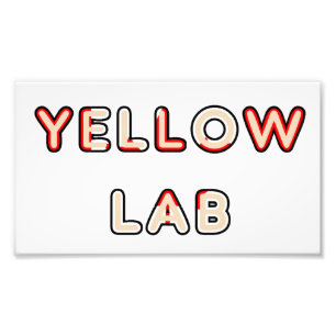 gelbe Labrador Kanadische Flagge Fotodruck