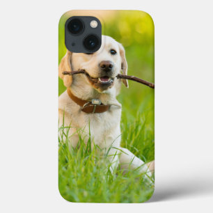 Gelbe Labrador-Plays mit Stick Case-Mate iPhone Hülle