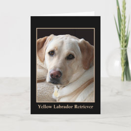 Gelbe Labrador retriever-Gruß-Karte (freier Raum) Karte