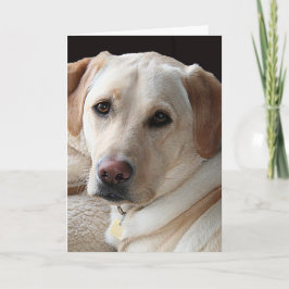 Gelbe Labrador retriever-Gruß-Karte Karte