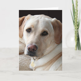 Gelbe Labrador retriever-Gruß-Karte Karte
