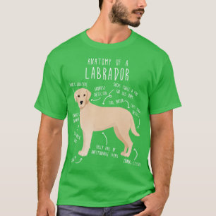Gelbe Labrador Retriever Hunde Anatomie 1 T-Shirt