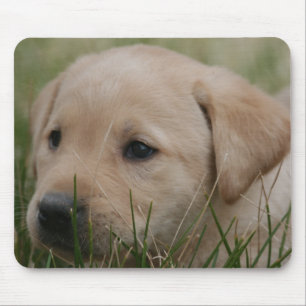 Gelbe Labrador retriever-Mausunterlage Mousepad