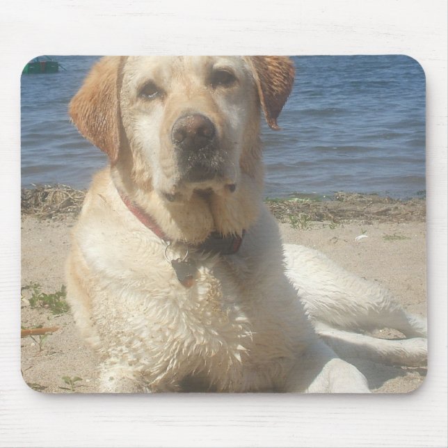 Gelbe Labrador retriever-Mausunterlage Mousepad (Vorne)