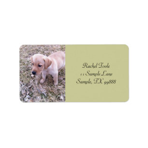 Gelbe Labrador retriever-Welpen-Adressen-Etiketten Adressaufkleber