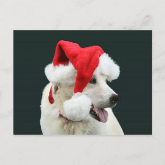 Gelbe Labrador Santa Claus Feiertagspostkarte