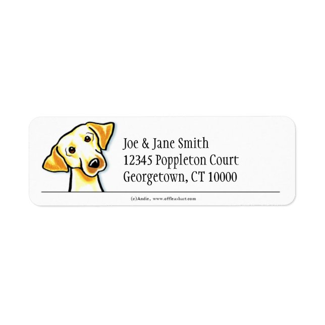 Gelbe Labrador sauber und einfach (Vorne)