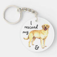 Gelbe Labrador