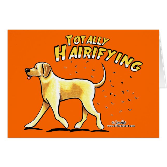 Gelbe Labrador total härrigend (Vorderseite (Horizontal))