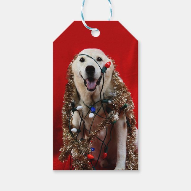 Gelbe Labrador Weihnachten Geschenkanhänger (Vorderseite)