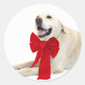 Gelbe Labrador Weihnachtsaufkleber Runder Aufkleber