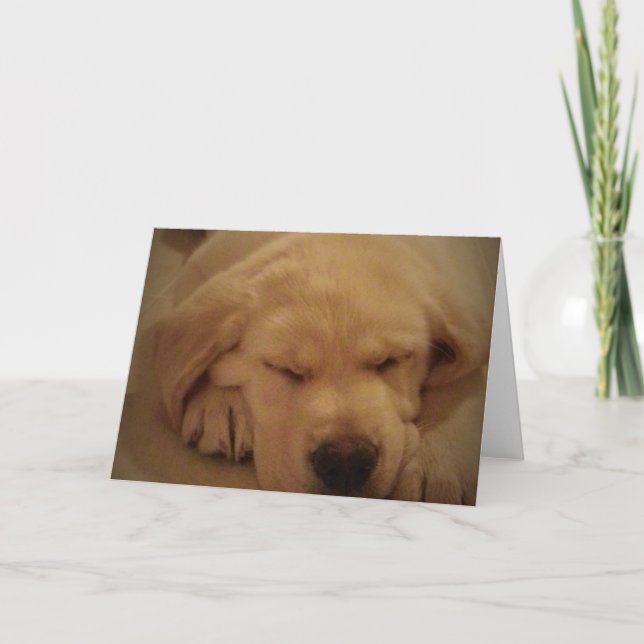 Gelbe Labrador Welpe Schlafen Karte (Vorderseite)