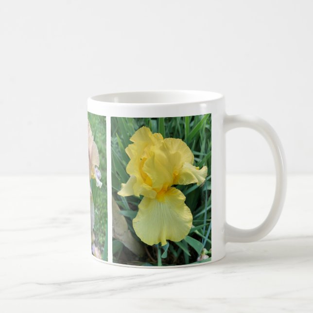 Gelbe Lila Rosa Iris Elegantes Foto Tasse (Rechts)
