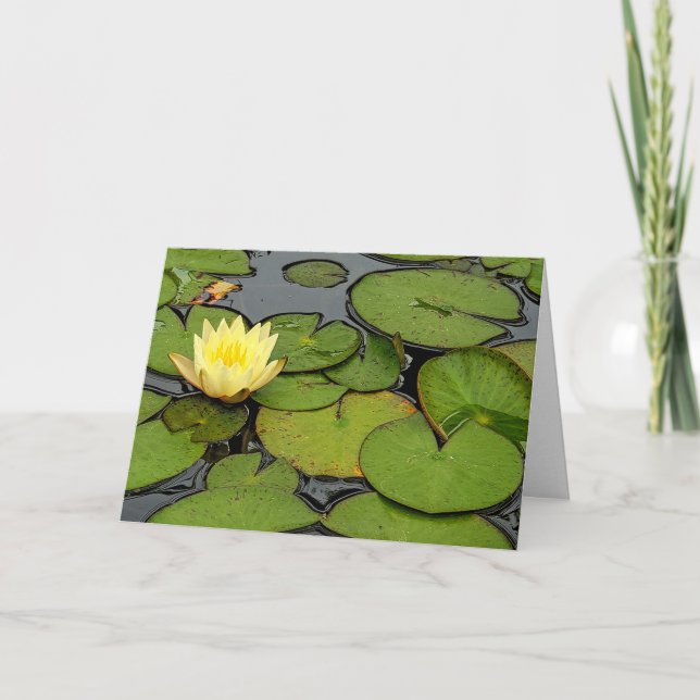 Gelbe Lilie aus Beileid im Teich Karte (Vorderseite)
