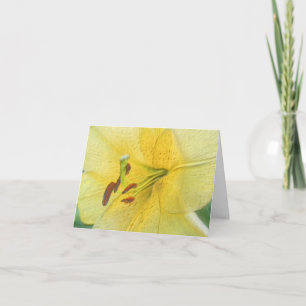 Gelbe Lilien-Blumenkunst individuell gestaltet