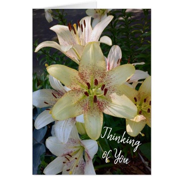 Gelbe Lily-Blume, die an Ihre Karte denken (Vorne)