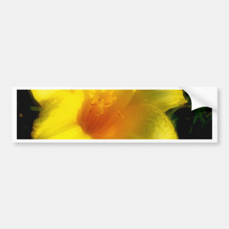 Gelbe Lily Fotografie Autoaufkleber