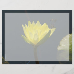 Gelbe Lotus-Wasserlilie-Blume