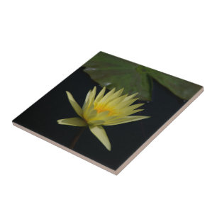 Gelbe Lotus-Wasserlilie Fliese