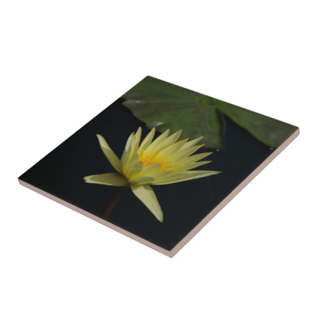 Gelbe Lotus-Wasserlilie Fliese (Seite)