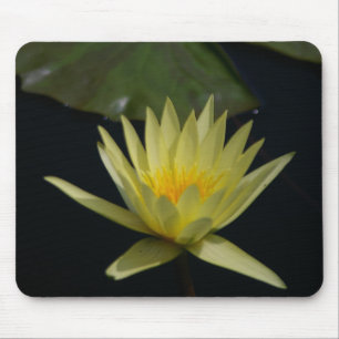 Gelbe Lotus-Wasserlilie Mousepad