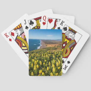 Gelbe Lupine oberhalb des Point Reyes-Strandes bei Spielkarten