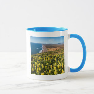 Gelbe Lupine oberhalb des Point Reyes-Strandes bei Tasse